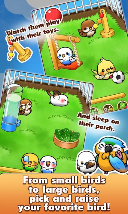 Bird Life Apk 